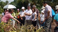 Singapore Institute of Management - 1 Day Sarang Buaya Tour